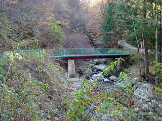 ����X�ѓS���{���u���[�Îq�v