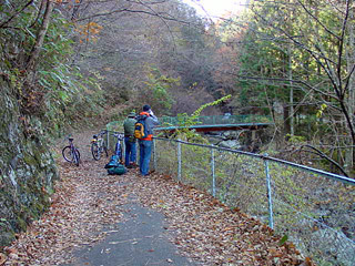 ����X�ѓS���{���u���[�Îq�v