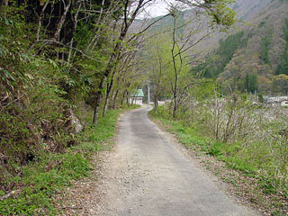 ����X�ѓS���{���u�����[�����v