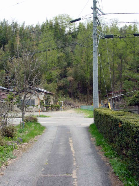 ����X�ѓS���{���u�哴�싴���[�����v