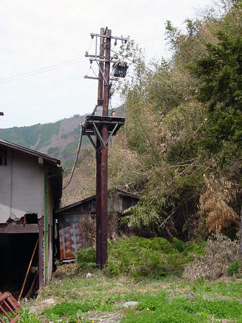 ����X�ѓS���{���u�哴�싴���[�����v