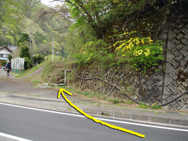 ����X�ѓS���{���u�哴�싴���[�����v