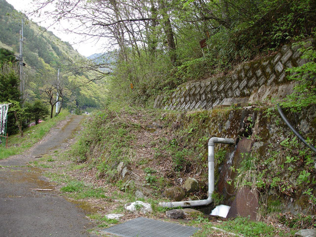 ����X�ѓS���{���u�哴�싴���[�����v