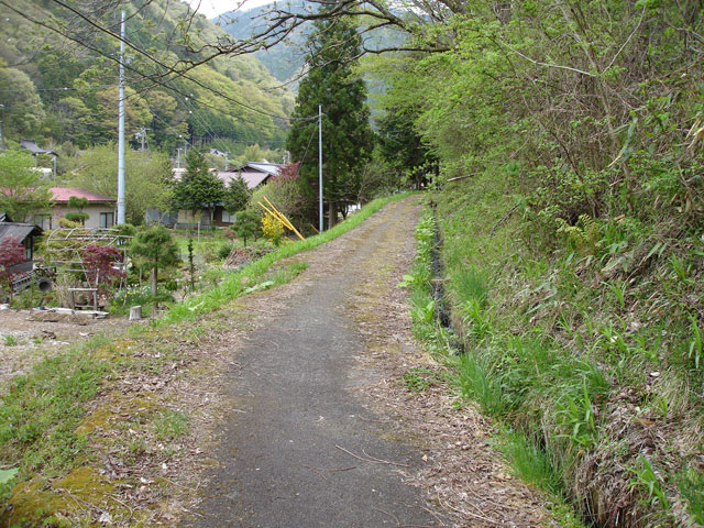 ����X�ѓS���{���u�哴�싴���[�����v