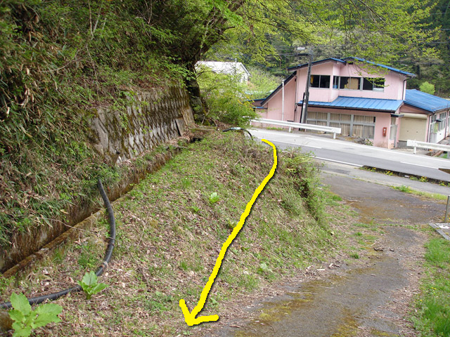 ����X�ѓS���{���u�哴�싴���[�����v