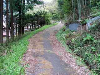 ����X�ѓS���{���u�哴�싴���[�����v