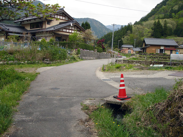 ����X�ѓS���{���u�哴�싴���[�����v