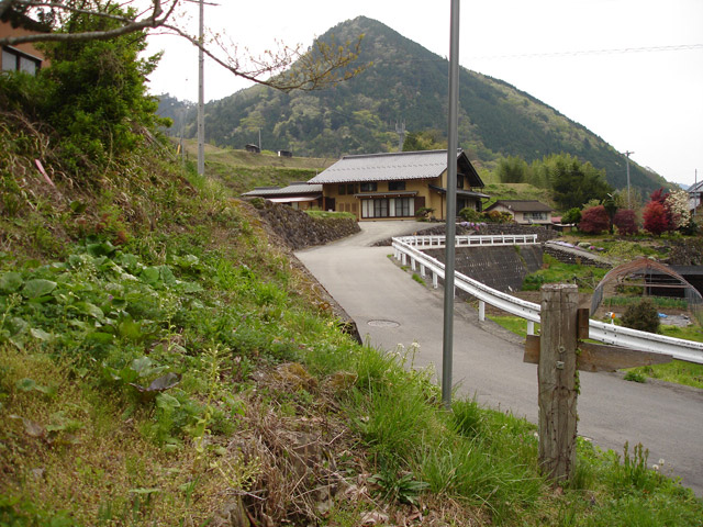 ����X�ѓS���{���u�哴�싴���[�����v