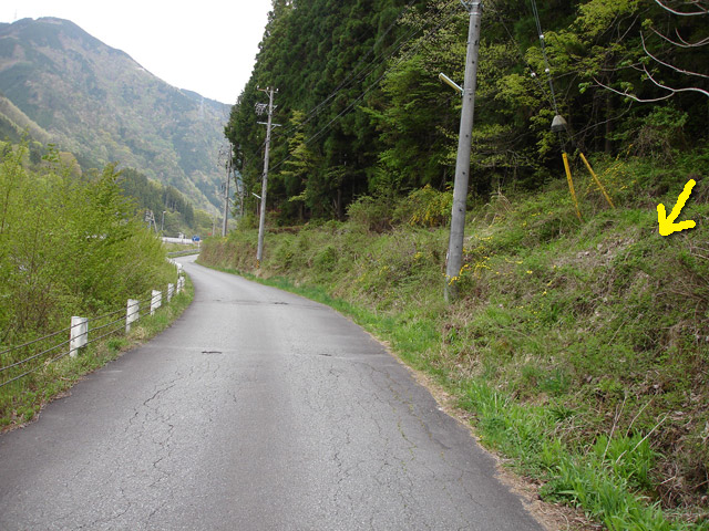 ����X�ѓS���{���u�哴�싴���[�����v