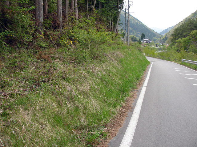 ����X�ѓS���{���u������ԏ�v