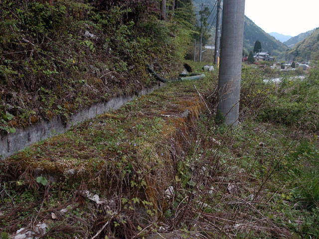 ����X�ѓS���{���u������ԏ�v