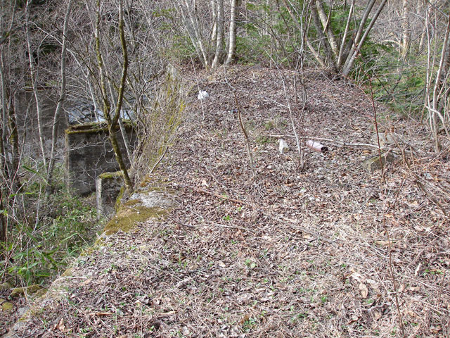 ����X�ѓS�����͐��u��1�������v