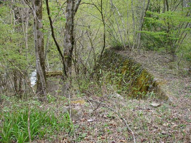 ����X�ѓS�����͐��u��1�������v