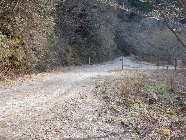 ����X�ѓS�����͐��u��1�������v