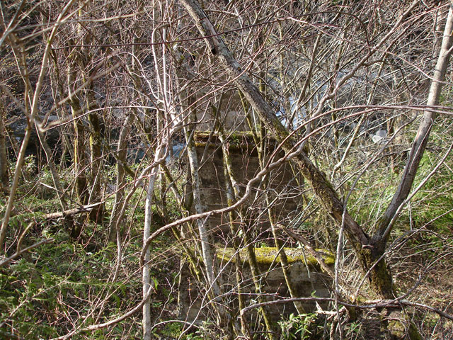 ����X�ѓS�����͐��u��1�������v