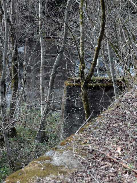 ����X�ѓS�����͐��u��1�������v