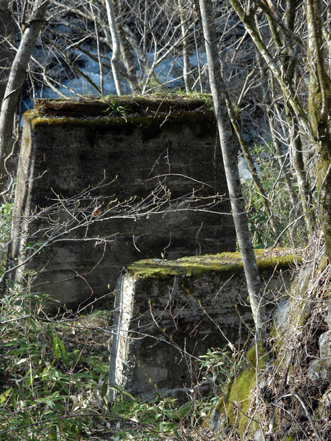 ����X�ѓS�����͐��u��1�������v