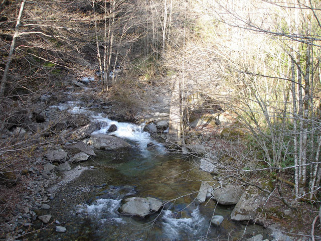 ����X�ѓS�����͐��u��1�������v