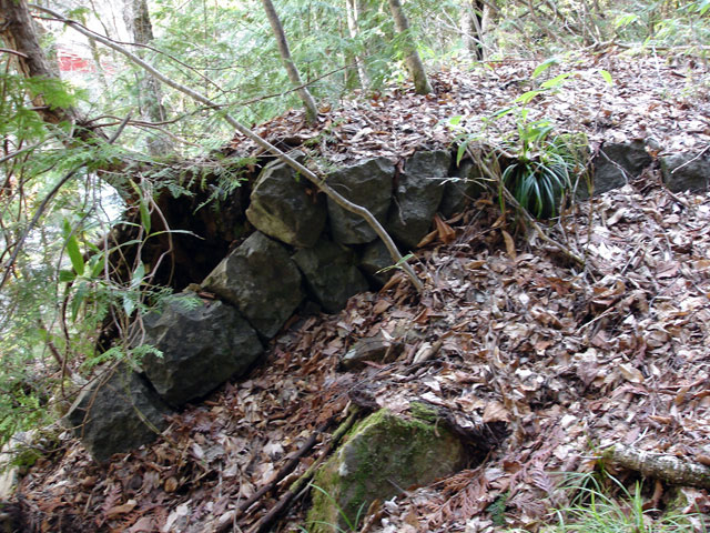 ����X�ѓS�����͐��u��1�������v