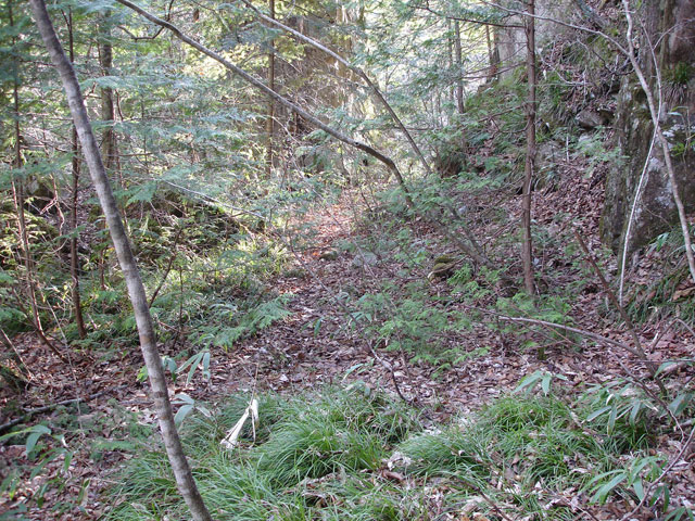 ����X�ѓS�����͐��u��1�������[�q�����v