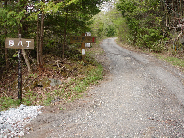 ����X�ѓS�����͐��u��1�������[�q�����v