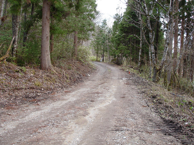 ����X�ѓS�����͐��u��1�������[�q�����v