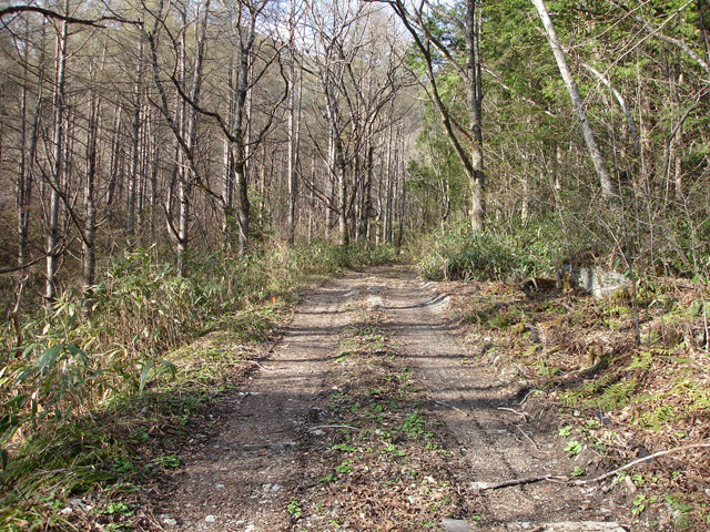 ����X�ѓS�����͐��u��1�������[�q�����v