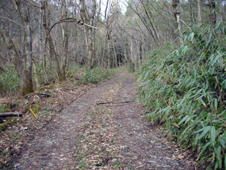 ����X�ѓS�����͐��u��1�������[�q�����v