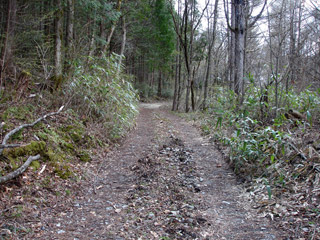 ����X�ѓS�����͐��u��1�������[�q�����v