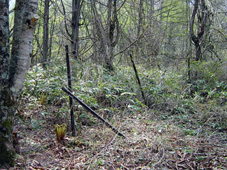 ����X�ѓS�����͐��u�q������ԏ�i���͍��������j�v