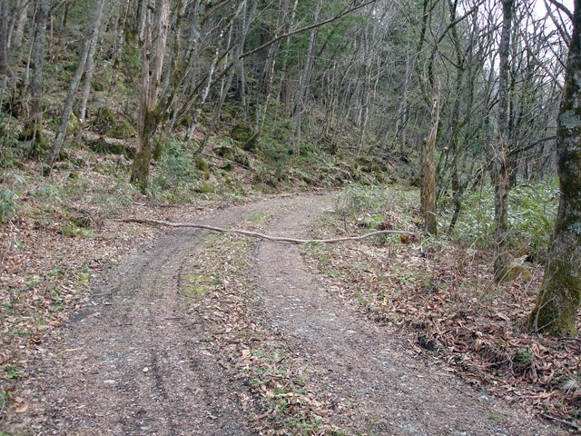 ����X�ѓS�����͐��u�q������ԏ�i���͍��������j�v