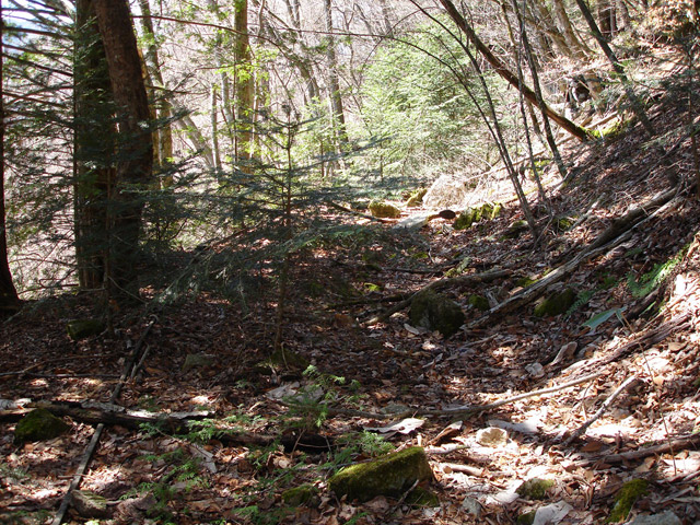 ���͐X�ѓS��,�ѓS,�p����,�x�����ԏ�,���͍����㕔