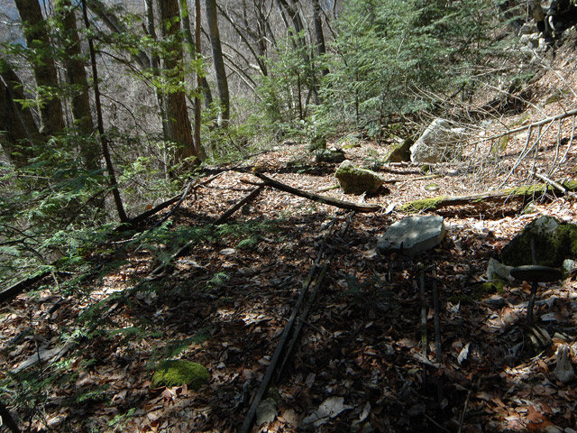 ���͐X�ѓS��,�ѓS,�p����,�x�����ԏ�,���͍����㕔