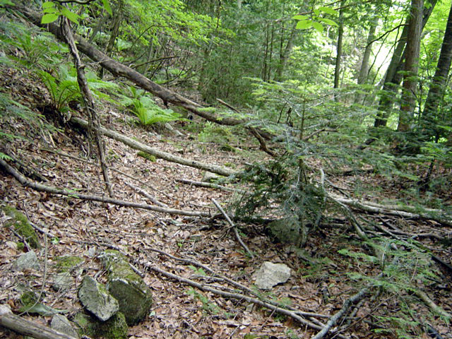 ���͐X�ѓS��,�ѓS,�p����,�x�����ԏ�,���͍����㕔