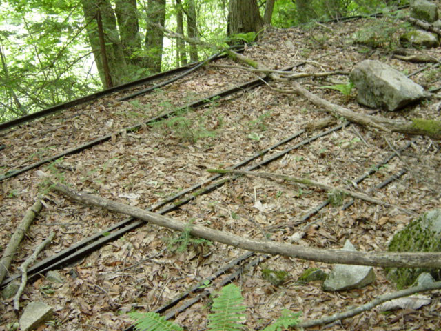 ���͐X�ѓS��,�ѓS,�p����,�x�����ԏ�,���͍����㕔