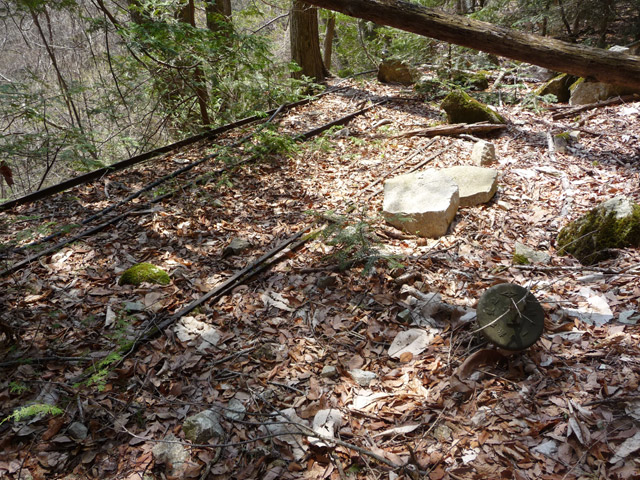 ���͐X�ѓS��,�ѓS,�p����,�x�����ԏ�,���͍����㕔