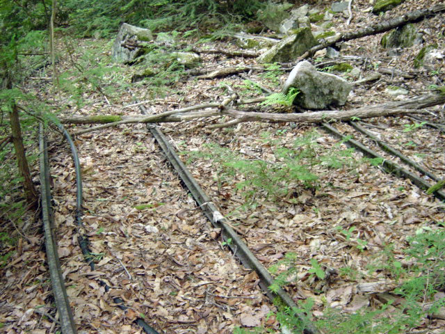 ����X�ѓS�����͐�,�ѓS,�p����,�㕔�O��,���[��,���H