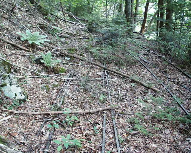 ����X�ѓS�����͐�,�ѓS,�p����,�㕔�O��,���[��,���H