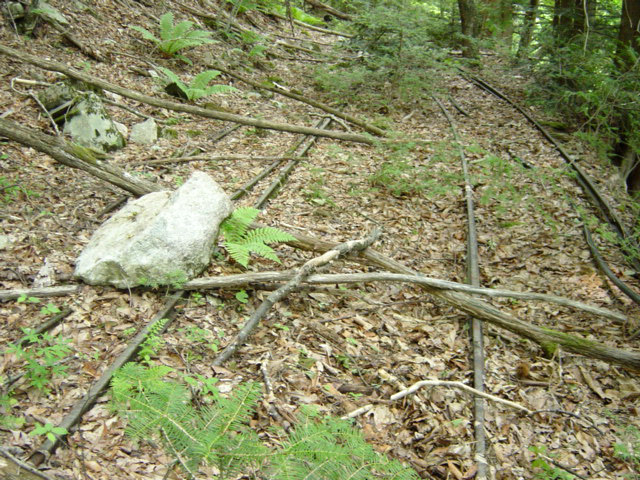 ����X�ѓS�����͐�,�ѓS,�p����,�㕔�O��,���[��,���H