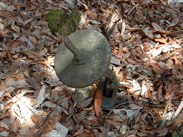 ����X�ѓS�����͐�,�ѓS,�p����,�_���}�]�Q�@,��背�[��