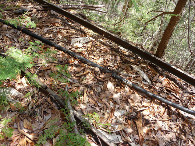 ���͐X�ѓS��,�ѓS,�p����,�x�����ԏ�,���͍����㕔