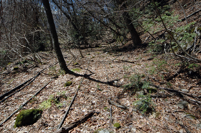 ���͐X�ѓS��,�ѓS,�p����,�㕔�O��,���É��c�ы�,����c�я�