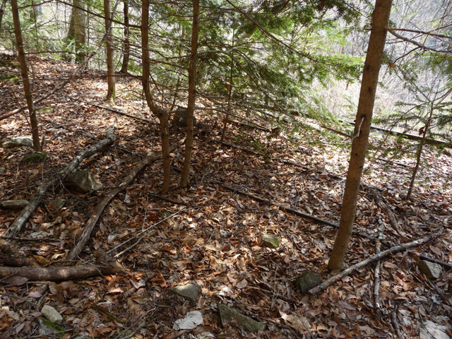 ���͐X�ѓS��,�ѓS,�p����,�㕔�O��,���É��c�ы�,����c�я�