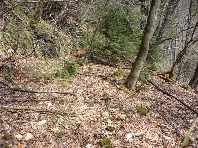 ���͐X�ѓS��,�ѓS,�p����,�㕔�O��,���É��c�ы�,����c�я�