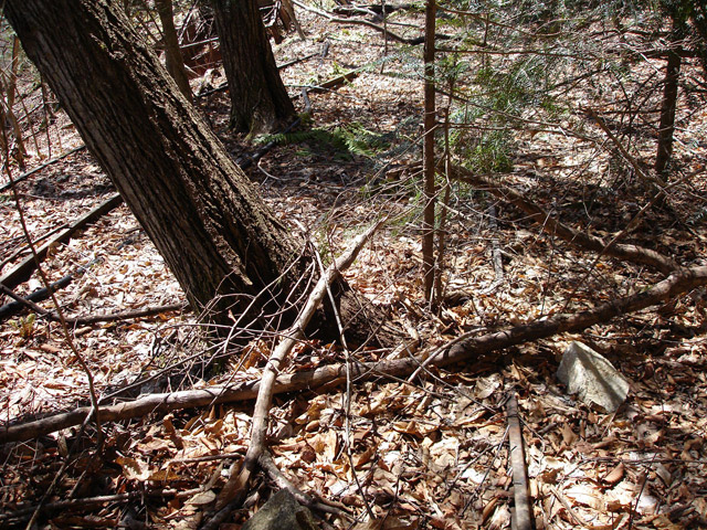 ���͐X�ѓS��,�ѓS,�p����,�㕔�O��,���É��c�ы�,����c�я�