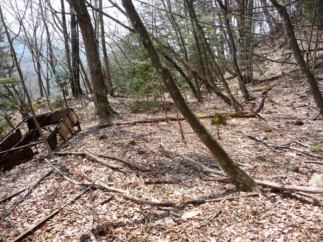 ���͐X�ѓS��,�ѓS,�p����,�㕔�O��,����,���[��