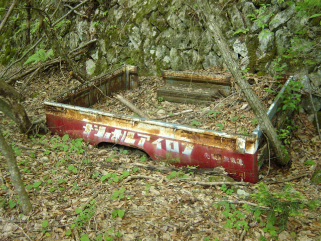 ���͐X�ѓS��,�ѓS,�p����,�㕔�O��,�ב�,�Ί_