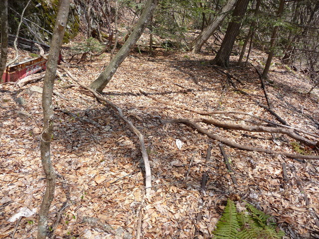 ���͐X�ѓS��,�ѓS,�p����,�㕔�O��,����,���[��,����c�я�