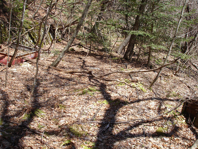 ���͐X�ѓS��,�ѓS,�p����,�㕔�O��,����,���[��,����c�я�