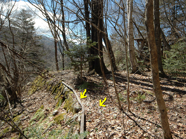 ���͐X�ѓS��,�ѓS,�p����,�㕔�O��,����,���[��,����c�я�